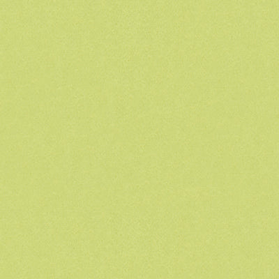 BRUNSCHWIG & FILS - AUTUN MOHAIR VELVET- CELERY - Fabric by the Yard - BR-89778_404