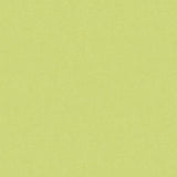 BRUNSCHWIG & FILS - AUTUN MOHAIR VELVET- CELERY - Fabric by the Yard