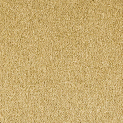 BRUNSCHWIG & FILS - AUTUN MOHAIR VELVET- LICHEN - Fabric by the Yard LICHEN