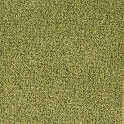 BRUNSCHWIG & FILS - AUTUN MOHAIR VELVET- LEAF - Fabric by the Yard LEAF