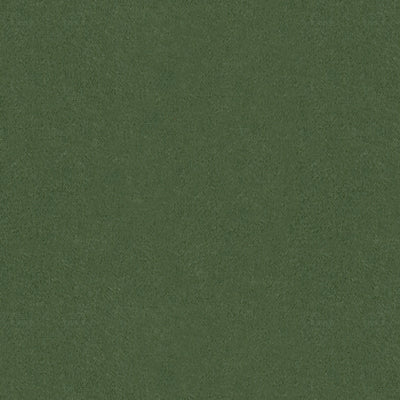 BRUNSCHWIG & FILS - AUTUN MOHAIR VELVET- BAYLEAF - Fabric by the Yard - BR-89778_456