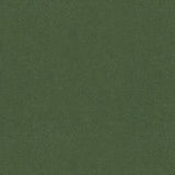 BRUNSCHWIG & FILS - AUTUN MOHAIR VELVET- BAYLEAF - Fabric by the Yard