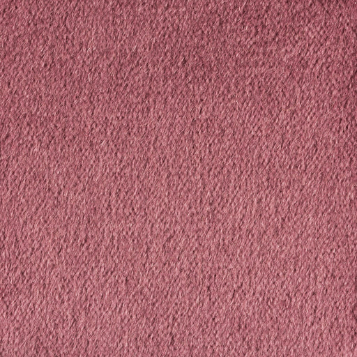 BRUNSCHWIG & FILS - AUTUN MOHAIR VELVET- MAUVE - Fabric by the Yard MAUVE