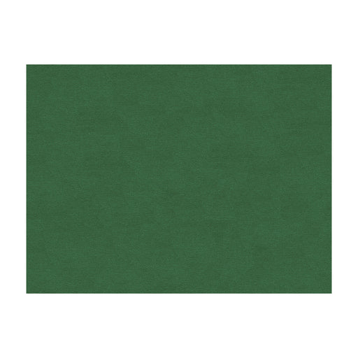 BRUNSCHWIG & FILS - LUBECK COTTON VELVET- IVY - Fabric by the Yard IVY