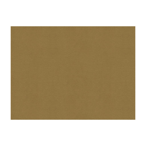 BRUNSCHWIG & FILS - LUBECK COTTON VELVET- SPICE - Fabric by the Yard SPICE