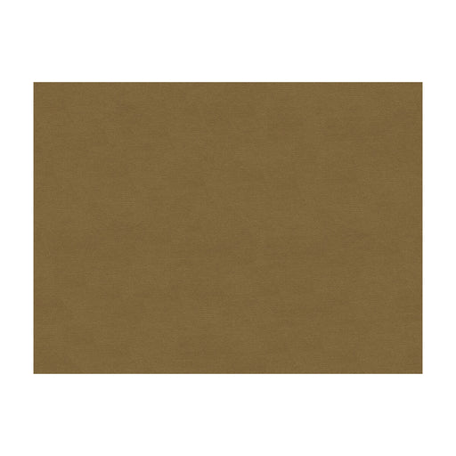 BRUNSCHWIG & FILS - LUBECK COTTON VELVET- FAWN - Fabric by the Yard FAWN