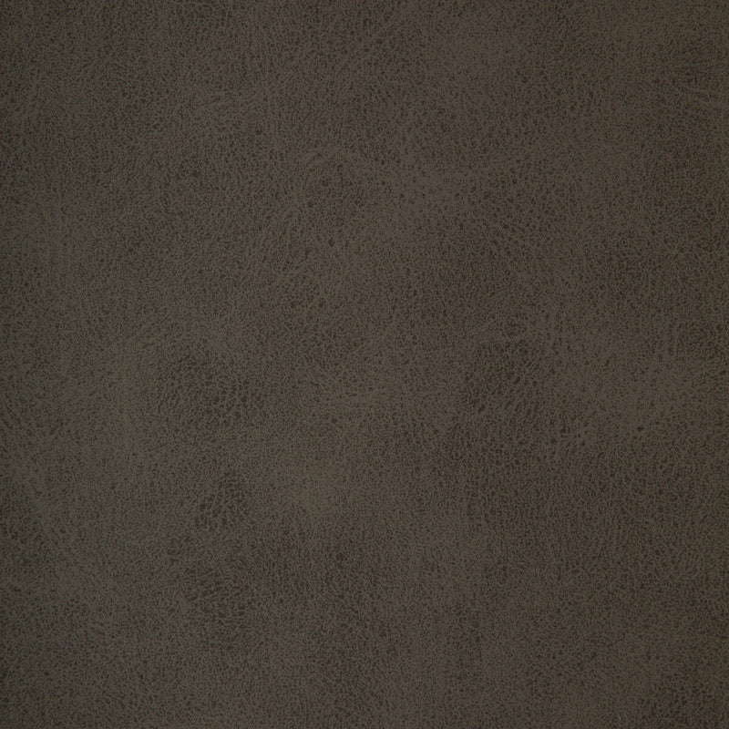 KRAVET DESIGN - KRAVET DESIGN- BRINE-21 - Fabric by the Yard BRINE-21