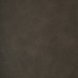KRAVET DESIGN - KRAVET DESIGN- BRINE-21 - Fabric by the Yard