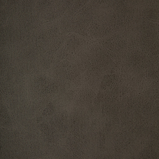 KRAVET DESIGN - KRAVET DESIGN- BRINE-21 - Fabric by the Yard BRINE-21