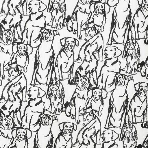 KRAVET BASICS - BUDDY - Fabric By the Yard