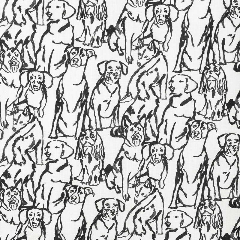 KRAVET BASICS - KRAVET BASICS- BUDDY-1101 - Fabric by the Yard BUDDY-1101