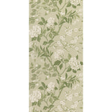 G P & J BAKER - EMPEROR'S GARDEN- SOFT GREEN - Wallcovering by the Roll