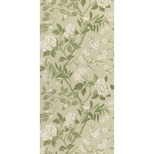G P & J BAKER - EMPEROR'S GARDEN- SOFT GREEN - Wallcovering by the Roll SOFT GREEN