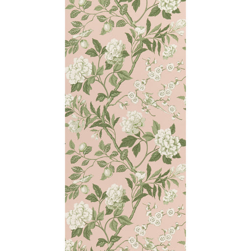 G P & J BAKER - EMPEROR'S GARDEN- BLUSH - Wallcovering by the Roll BLUSH