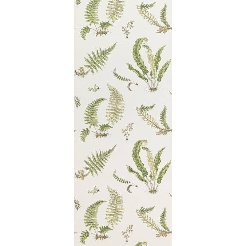 G P & J BAKER - FERNS- LEAF - Wallcovering by the Roll LEAF