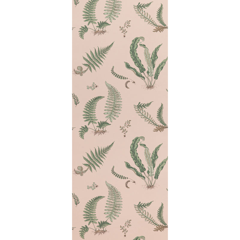 G P & J BAKER - FERNS- BLUSH - Wallcovering by the Roll BLUSH