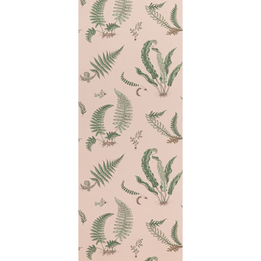 G P & J BAKER - FERNS- BLUSH - Wallcovering by the Roll BLUSH