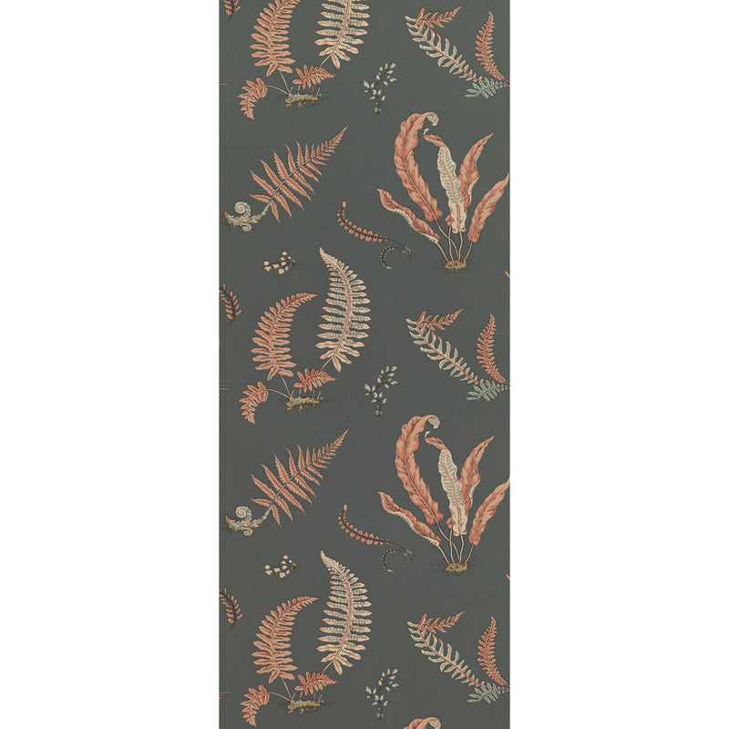 G P & J BAKER - FERNS- CORAL/CHARCOAL - Wallcovering by the Roll CORAL/CHARCOAL