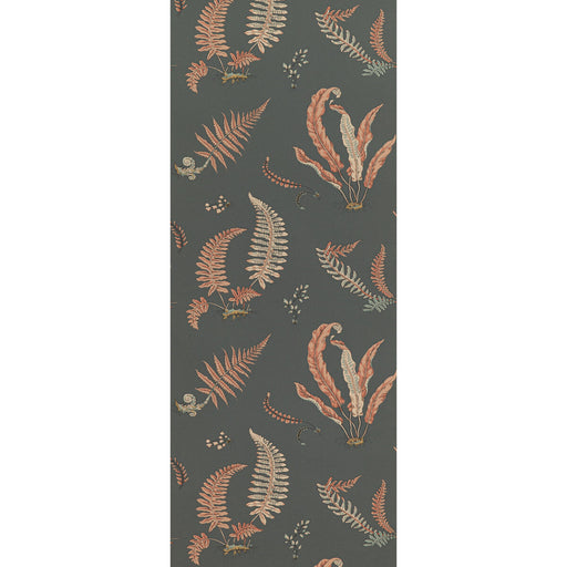 G P & J BAKER - FERNS- CORAL/CHARCOAL - Wallcovering by the Roll CORAL/CHARCOAL