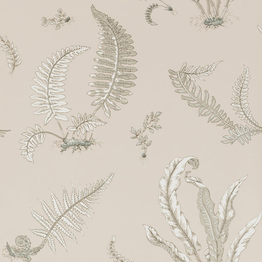 G P & J BAKER - FERNS- LINEN - Wallcovering by the Roll LINEN