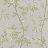 G P & J BAKER - PEONY & BLOSSOM- IVORY/WILLOW - Wallcovering by the Roll