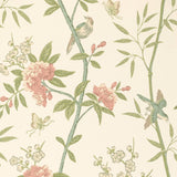 G P & J BAKER - PEONY & BLOSSOM- VINTAGE - Wallcovering by the Roll