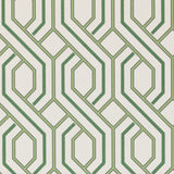 G P & J BAKER - PARTERRE- BOTANICAL - Wallcovering by the Roll