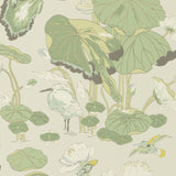 G P & J BAKER - NYMPHEUS- BOTANICAL - Wallcovering by the Roll