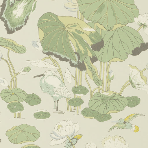 G P & J BAKER - NYMPHEUS- BOTANICAL - Wallcovering by the Roll BOTANICAL