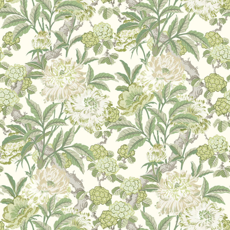 G P & J BAKER - SUMMER PEONY- GREEN - Wallcovering by the Roll GREEN