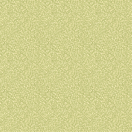 G P & J BAKER - TANSY- GREEN - Wallcovering by the Roll GREEN