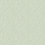 G P & J BAKER - TANSY- AQUA - Wallcovering by the Roll