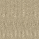 G P & J BAKER - TILLY- CHARCOAL - Wallcovering by the Roll
