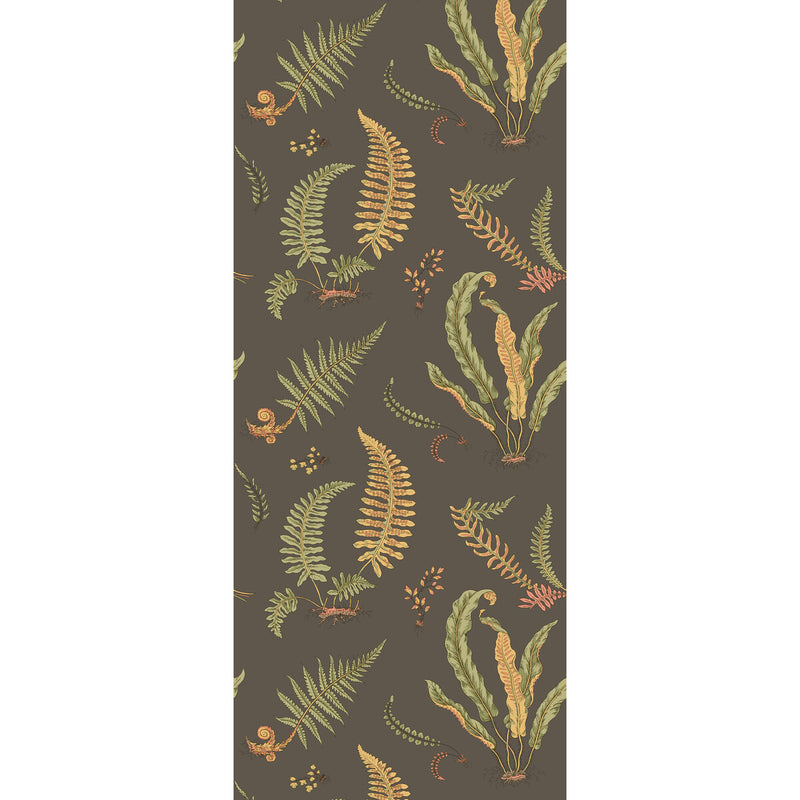 G P & J BAKER - FERNS- CHARCOAL - Wallcovering by the Roll CHARCOAL