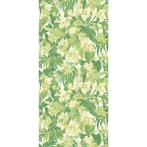 G P & J BAKER - TROPICAL FLORAL- GREEN - Wallcovering by the Roll GREEN
