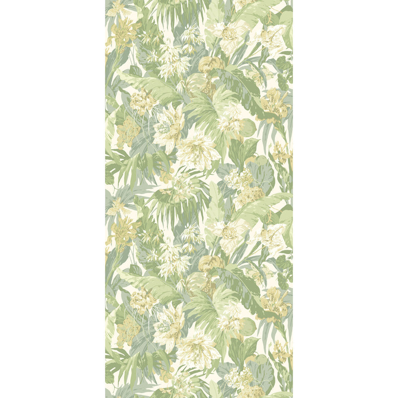 G P & J BAKER - TROPICAL FLORAL- SOFT GREEN - Wallcovering by the Roll SOFT GREEN