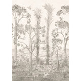 G P & J BAKER - TALL TREES- SEPIA - Wallcovering by the Roll