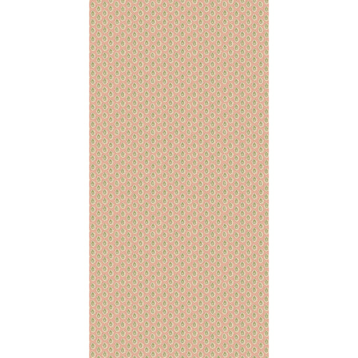G P & J BAKER - DOTTY- BLUSH - Wallcovering by the Roll BLUSH