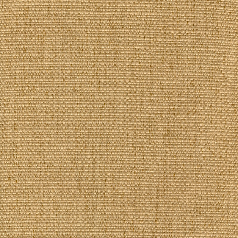 CACHAY - GOLD - Mag Fabrics - Fabric By The Yard