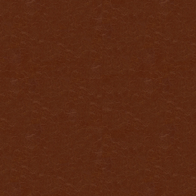 KRAVET COUTURE - CAPTURED- CAPPUCIO - Fabric by the Yard CAPPUCIO