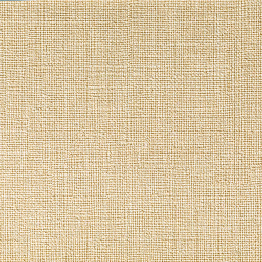 KRAVET CONTRACT - CASLIN- LINEN - Fabric by the Yard LINEN