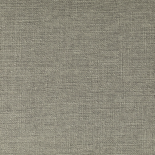KRAVET CONTRACT - CASLIN- HEMP - Fabric by the Yard HEMP