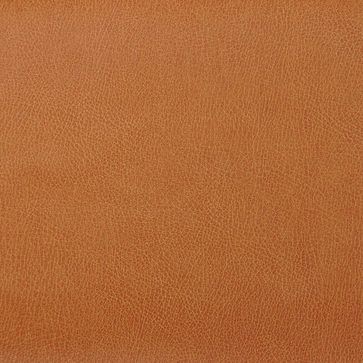 KRAVET DESIGN - KRAVET DESIGN- CASWELL-12 - Fabric by the Yard CASWELL-12