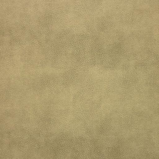 KRAVET DESIGN - KRAVET DESIGN- CASWELL-16 - Fabric by the Yard CASWELL-16
