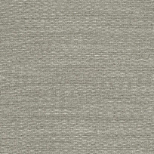 Charlotte - CB600-05 - Fabric by the Yard CB600-05
