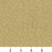 Charlotte - CB600-131 - Fabric by the Yard - CB600-131 - CB600-131_Ruler