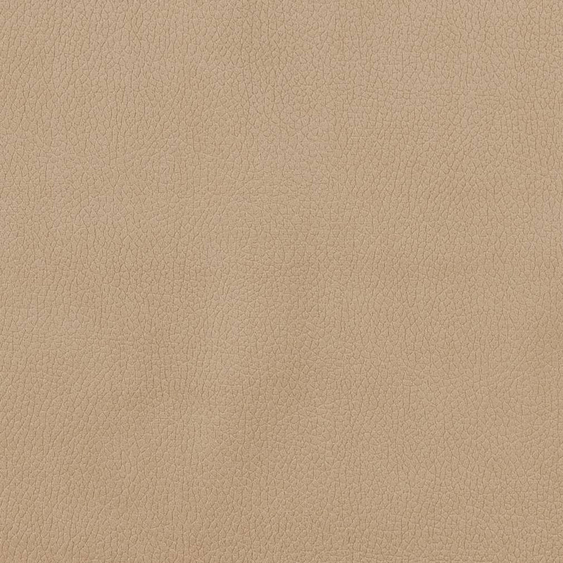 Charlotte - CB600-156 - Fabric by the Yard CB600-156