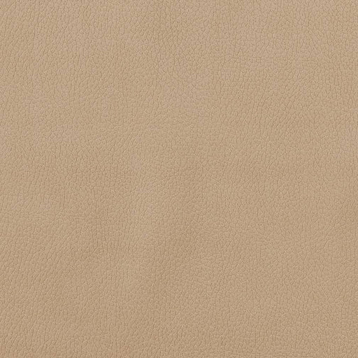 Charlotte - CB600-156 - Fabric by the Yard CB600-156
