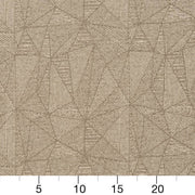 Charlotte - CB600-167 - Fabric by the Yard - CB600-167 - CB600-167_Ruler