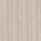 Charlotte - CB600-169 - Fabric by the Yard